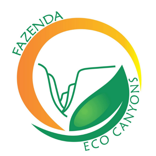 Logo oficial da loja Açaí da Nane